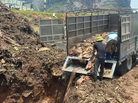 Thanh Hóa tăng cường kiểm soát, xử lý nghiêm hành vi kinh doanh thực phẩm 'bẩn', sữa giả, thuốc giả