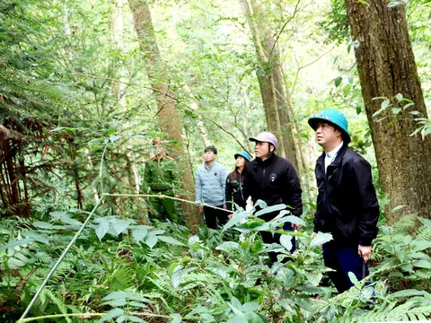 Hà Giang: Công khai, minh bạch chi trả dịch vụ môi trường rừng