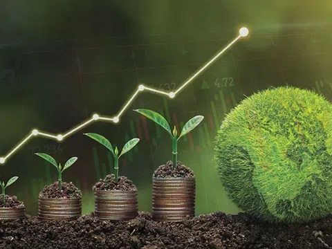 Tín dụng xanh tại Việt Nam - Những vướng mắc và bất cập