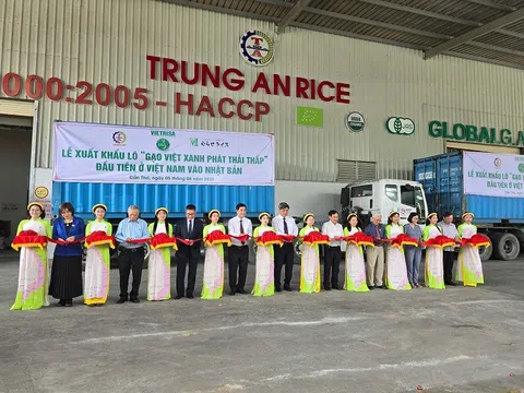 Cần Thơ xuất khẩu lô “Gạo Việt xanh phát thải thấp” đầu tiên sang Nhật Bản