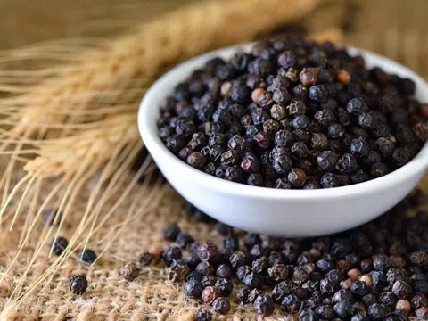 Giá tiêu hôm nay 8/6/2025: Thị trường ổn định