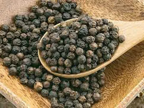 Giá tiêu hôm nay 10/6: Giá neo cao