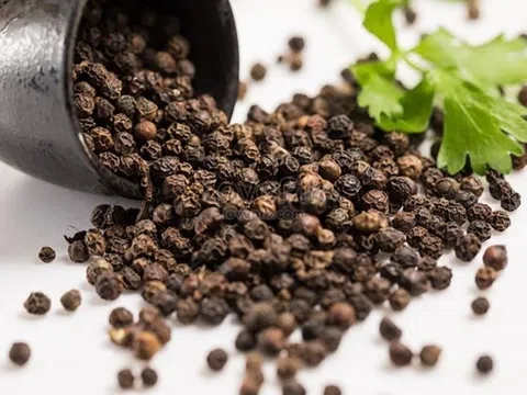 Giá tiêu hôm nay 12/6: Dao động trong khoảng 139.000–140.000 đồng/kg