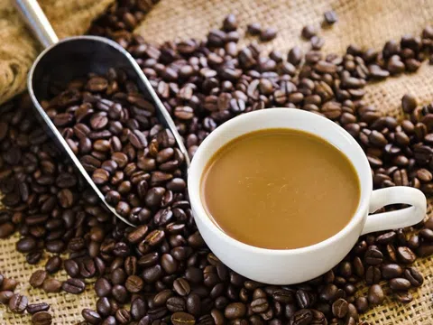 Giá cà phê hôm nay 16/6/2025: Dao động 112.000–112.500 đồng/kg