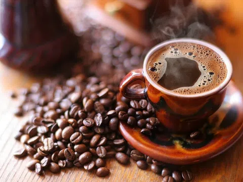 Giá cà phê hôm nay 24/6/2025: Đang tìm lại thế cân bằng trên thị trường