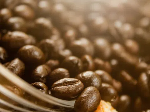 Giá cà phê hôm nay 25/6/2025: Tăng mạnh trở lại