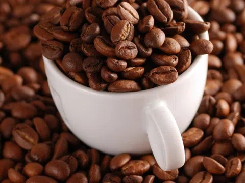 Giá cà phê hôm nay 1/7/2025: Tăng nhẹ trở lại