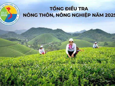 Hải Phòng: Triển khai tổng điều tra nông thôn, nông nghiệp năm 2025