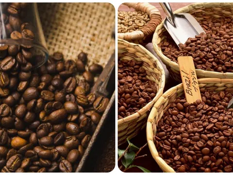 Giá cà phê hôm nay 2/7/2025: Tiếp tục tăng nhẹ trở lại