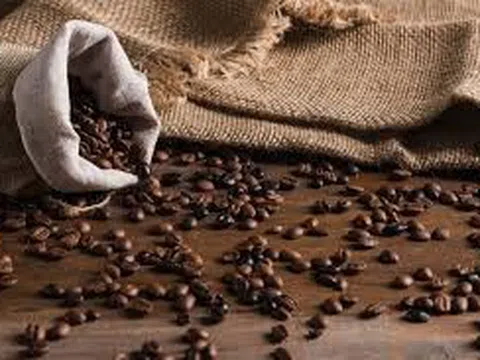 Giá cà phê hôm nay 3/7/2025: Trong nước ổn định, thế giới có biến động