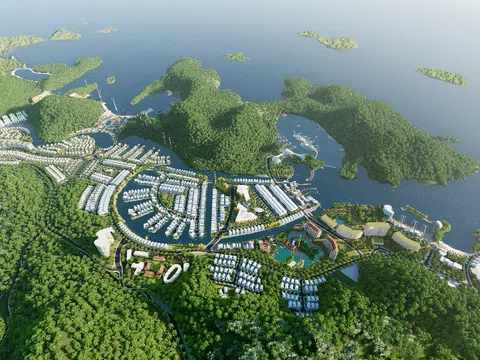 Vinaconex đã sang tay hơn 48,4 triệu cổ phiếu của chủ đầu tư dự án Cát Bà Amatina?