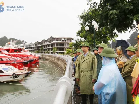 Quảng Ninh: Các khu vực nuôi trồng thủy sản phải khẩn trương đưa thuyền bè vào khu tránh trú bão