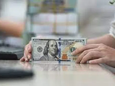 Tỷ giá USD hôm nay 26/7/2025: Đồng USD tiếp tục tăng trở lại