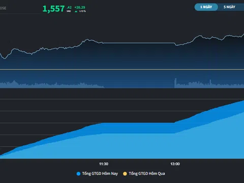 Thị trường "trần tím" trong phiên lập kỷ lục mới
