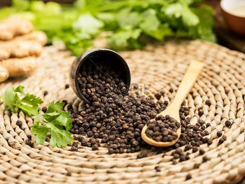 Giá tiêu hôm nay 1/8/2025: Tăng mạnh, cao nhất 140.000 đồng/kg