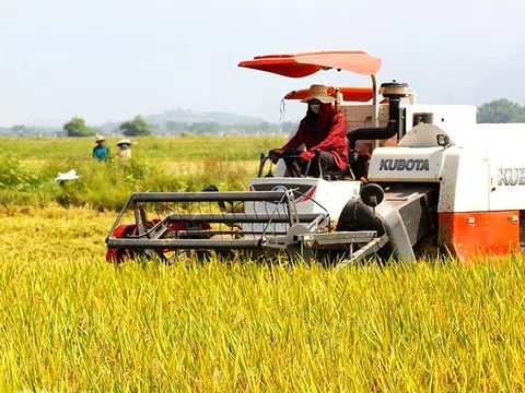 Thúc đẩy sản xuất lúa gạo phát thải thấp từ dữ liệu số