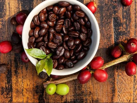 Giá cà phê hôm nay 14/8/2025: Tăng dữ dội