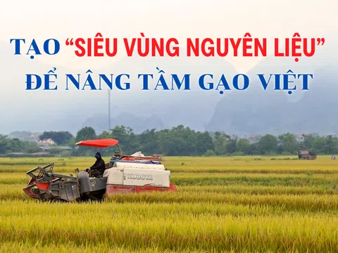 Tạo "siêu vùng nguyên liệu” để nâng tầm gạo Việt