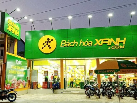 Bách Hóa Xanh dự kiến lãi hơn 600 tỷ đồng năm 2025, sẽ “Bắc tiến” vào năm sau