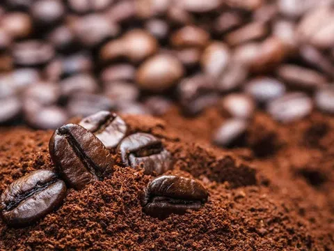 Giá cà phê hôm nay 19/8/2025: Tăng 300 đồng/kg