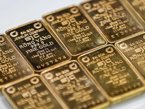 Giá vàng hôm nay 23/8/2025: Vàng thế giới tăng vọt