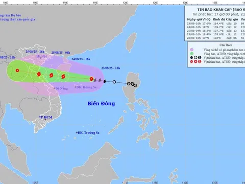 Quảng Ninh chủ động phòng, chống, ứng phó với cơn bão số 5 Kajiki
