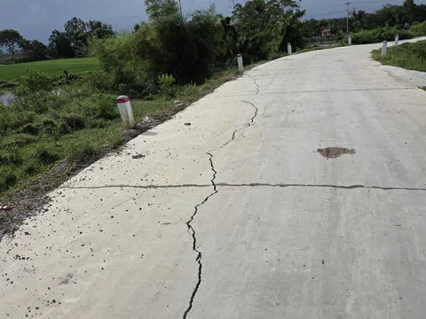 Khẩn trương xử lý, khắc phục các sự cố đê tại Thanh Hóa