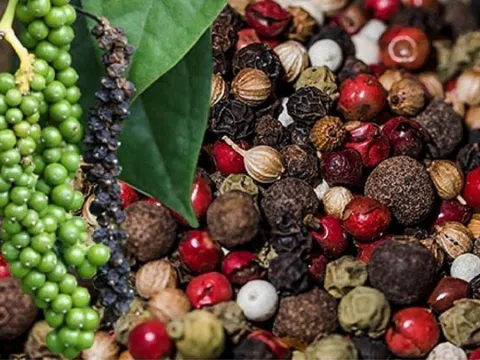 Giá tiêu hôm nay 27/8/2025: Tăng nhẹ trong nước, thị trường  biến đổi trái chiều