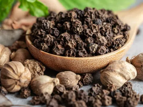 Giá tiêu hôm nay 28/8/2025: Đà tăng mạnh tạm thời ngưng lại