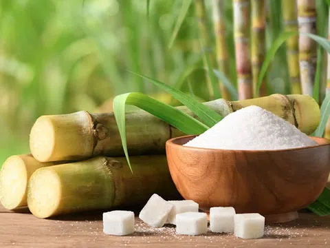 Bộ Công Thương đề nghị tăng cường các biện pháp quản lý nhằm ngăn chặn nhập lậu đường