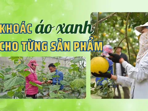 Khoác áo xanh cho từng sản phẩm - Bài 4: Chứng nhận xanh – tấm vé thông hành hay thử thách?