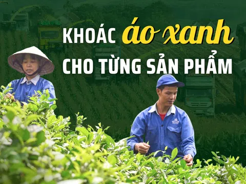 Khoác áo xanh cho từng sản phẩm – Bài cuối: Xanh hóa không chỉ là chuyện của doanh nghiệp