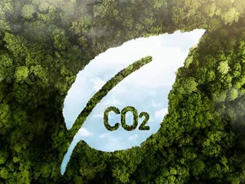 Các ông lớn lùi bước trước cam kết Net Zero