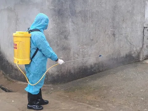 Thanh Hóa: Khuyến cáo người chăn nuôi tái đàn an toàn sau dịch