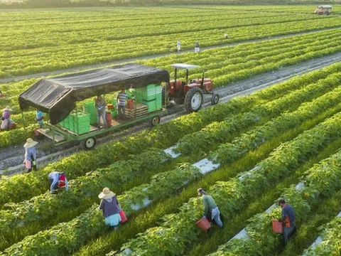 Bảo hiểm Ngân hàng Nông nghiệp tăng vốn điều lệ thêm 40%, lên hơn 1.000 tỷ đồng