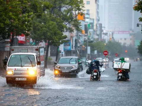 Bão số 9 cách Móng Cái (Quảng Ninh) khoảng 170km, gió giật cấp 11