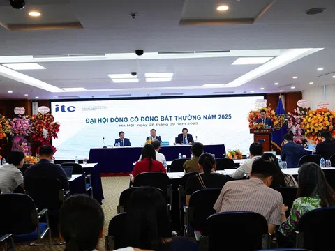 Vinaconex ITC thay toàn bộ lãnh cấp cao, đại diện MIK Group chính thức lộ diện