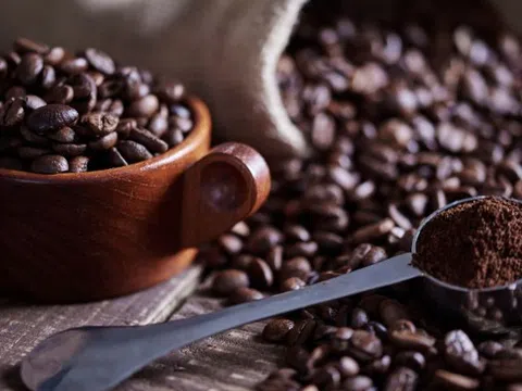 Giá cà phê hôm nay 26/9/2025: Trong nước tăng sốc, quốc tế chao đảo vì thuế Mỹ