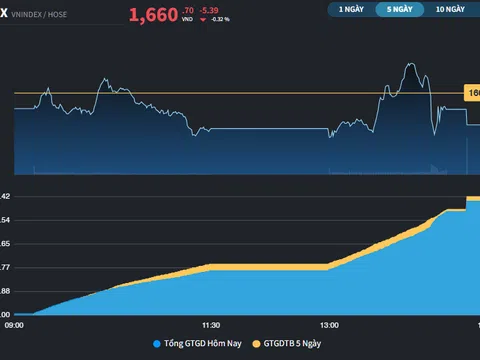 Thị trường đảo chiều, VIC tiếp tục phá kỷ lục giá 
