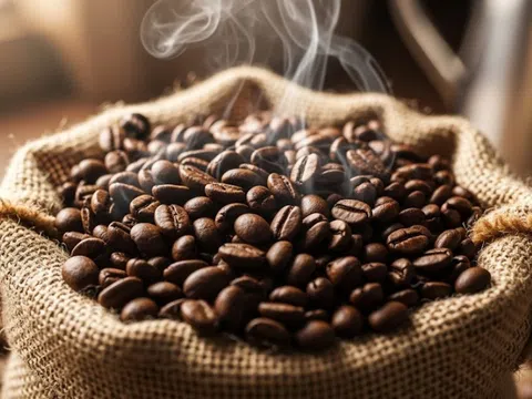 Giá cà phê hôm nay 27/9/2025: Giảm mạnh