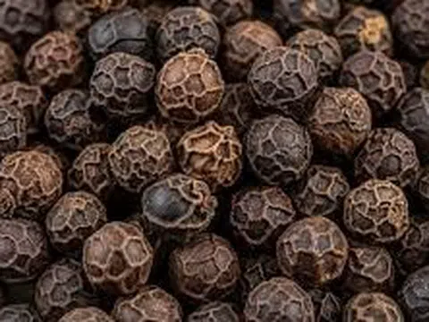 Giá tiêu hôm nay 29/9/2025: Trong nước “án binh bất động”, Malaysia bất ngờ tạo sức ép quốc tế