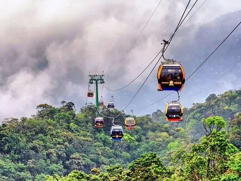 Quy mô tài sản của Cáp treo Fansipan tăng gấp đôi, vượt 14.000 tỷ đồng