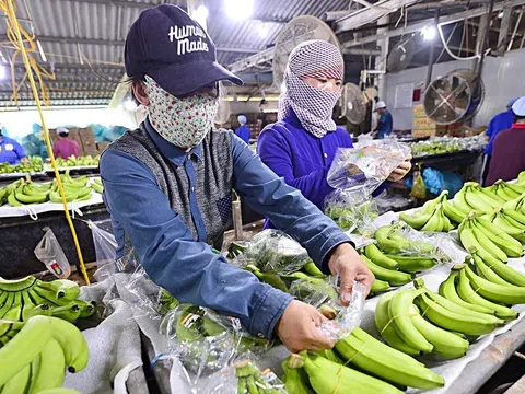 Hiến kế đưa sản phẩm OCOP vươn tầm quốc tế