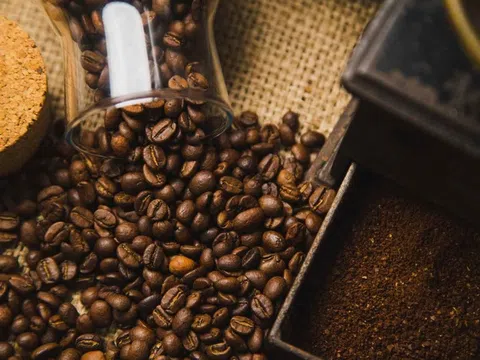 Giá cà phê hôm nay 5/10/2025: Bật tăng mạnh, vượt 116.000 đồng/kg - Thị trường thế giới “dậy sóng”