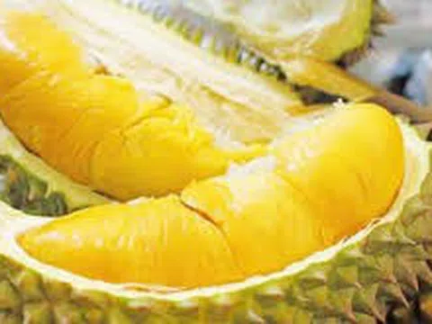 Giá sầu riêng hôm nay 7/10/2025: Ri6 loại A ở Đồng bằng sông Cửu Long tăng