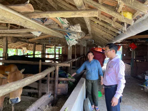 Tín dụng chính sách mang tới “sức sống mới” trên quê hương Sơn Tịnh