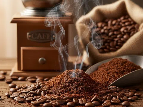 Giá cà phê hôm nay 20/10/2025: Trong nước duy trì ổn định