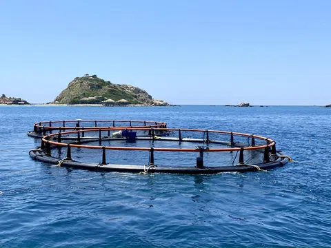 Khánh Hòa: Tăng cường quản lý nhà nước về kinh tế bảo đảm mục tiêu tăng trưởng hai con số trong giai đoạn mới