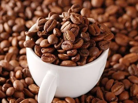 Giá cà phê hôm nay 22/10/2025: Cao nhất 116.000 đồng/kg