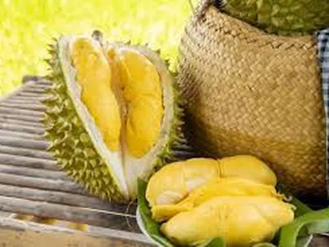 Giá sầu riêng hôm nay 27/10/2025: Thị trường biến động